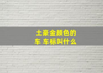 土豪金颜色的车 车标叫什么